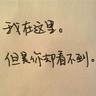 宠物健康知识新青年